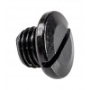Пробка редуктора Suzuki DF150-300, D10 мм, масло, Omax