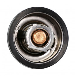 Термостат Volvo Penta 60C 2001-2003, Recmar